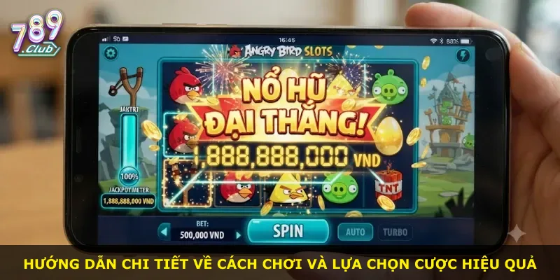 Hướng dẫn chi tiết về cách chơi và lựa chọn cược hiệu quả