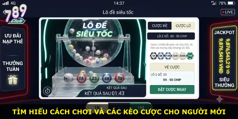 Tìm hiểu cách chơi và các kèo cược cho người mới